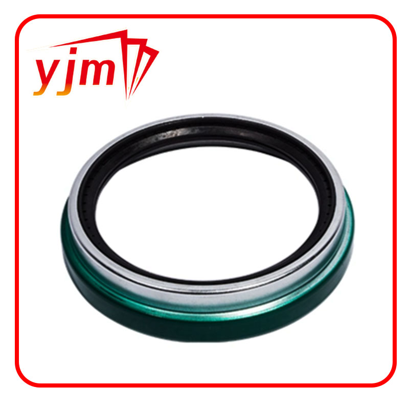 lip seal ring